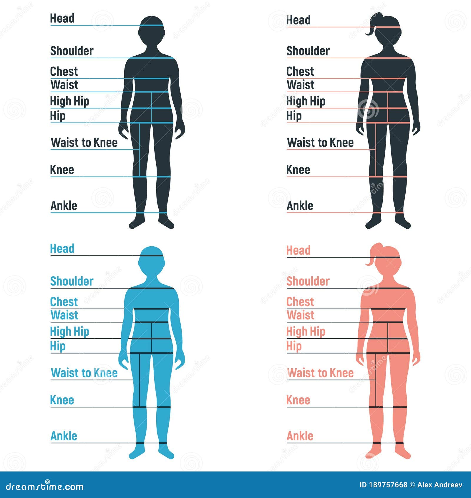 male to female size chart