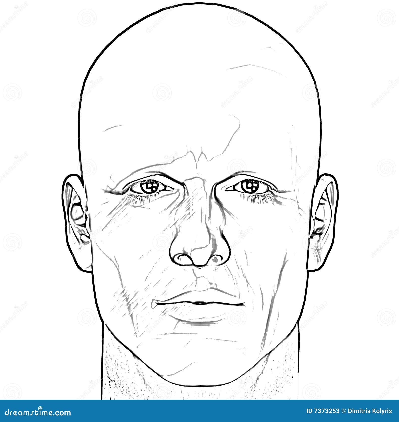 Male Figure Type Rhomboid Or Trapezoid. One Of Human Anatomy Body