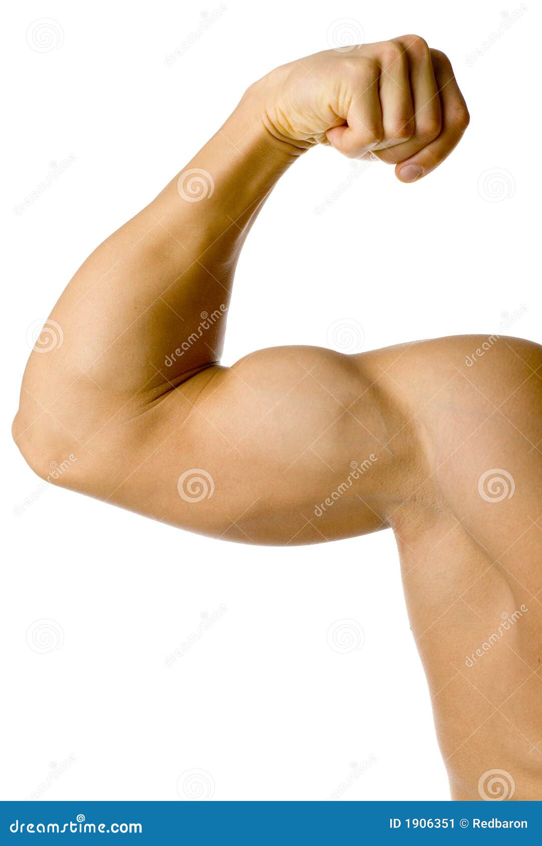 male flexed arm