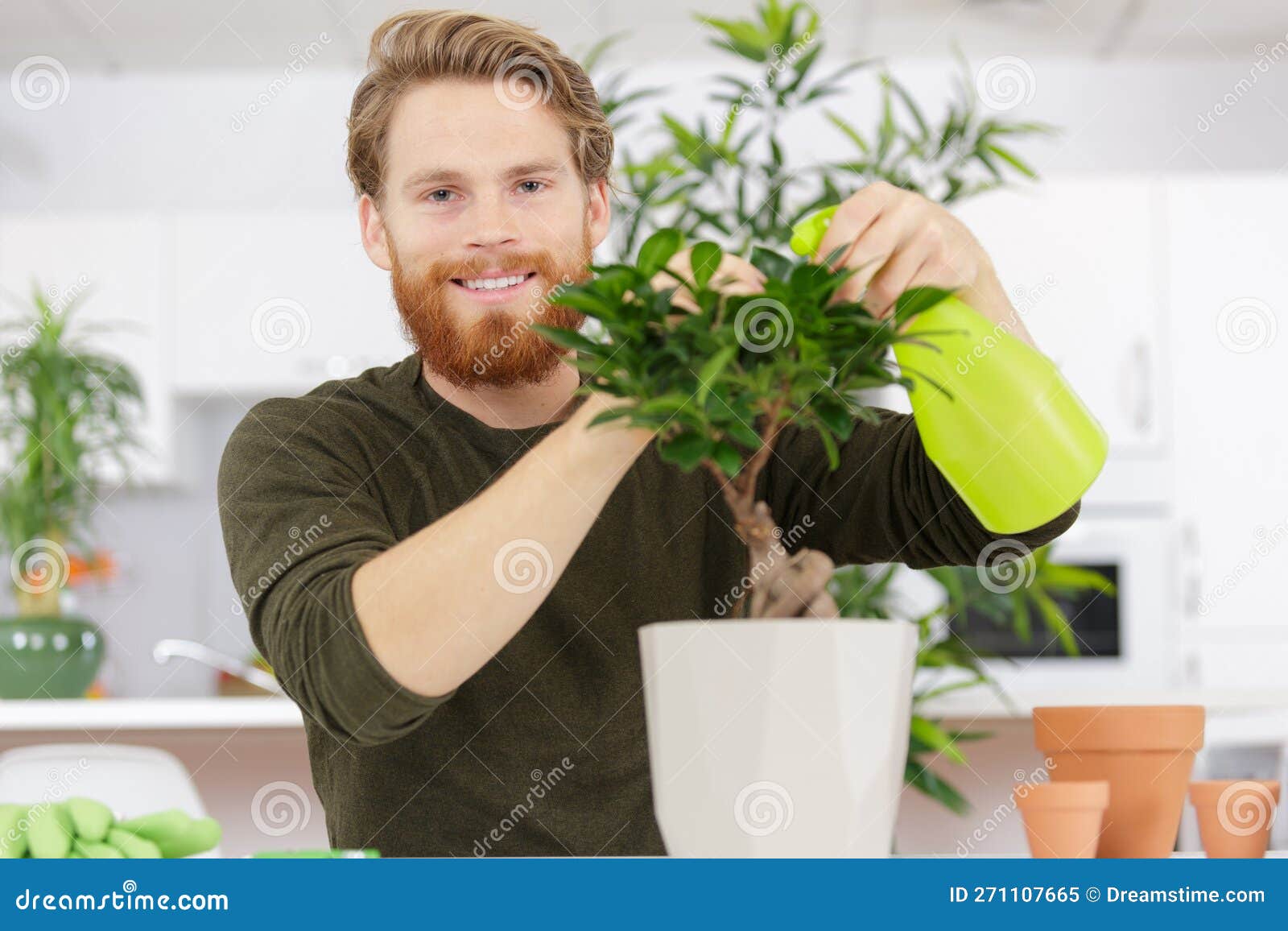 Male Gardener Watering Bonsai Tree Stock Image Image of