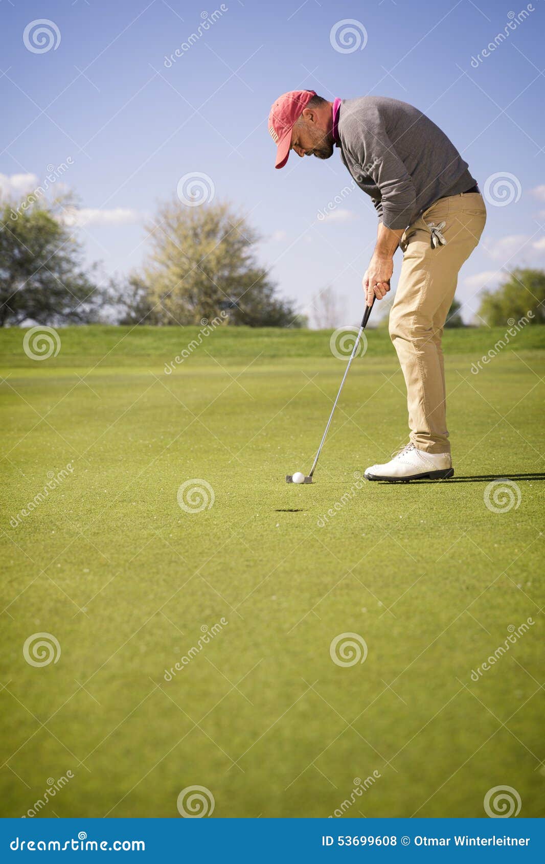 Male Golfer Putting on Green. Stock Photo Image of hole, golfer 53699608