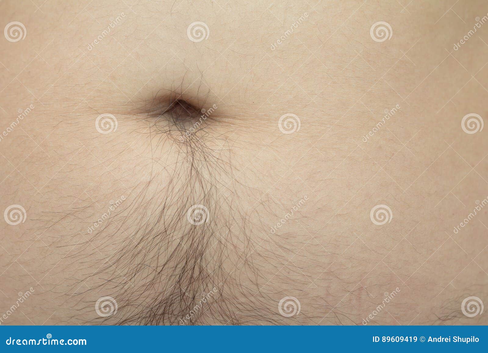 Male Hairs Belly, Bellybutton Stock Image - Image of crinigerous,  sensuality: 89609419
