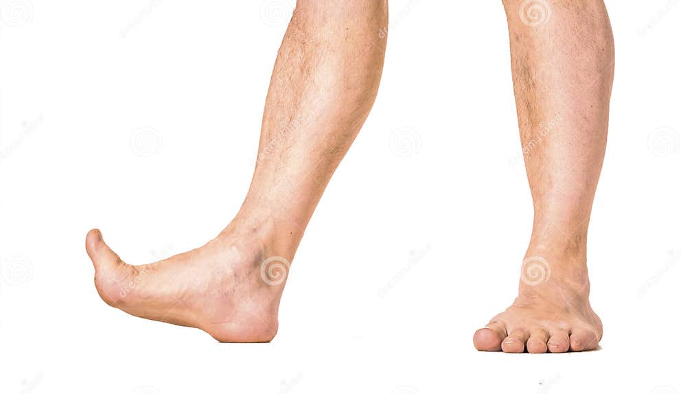 Male Hairy Legs Isolated on White Background Stock Photo Image of