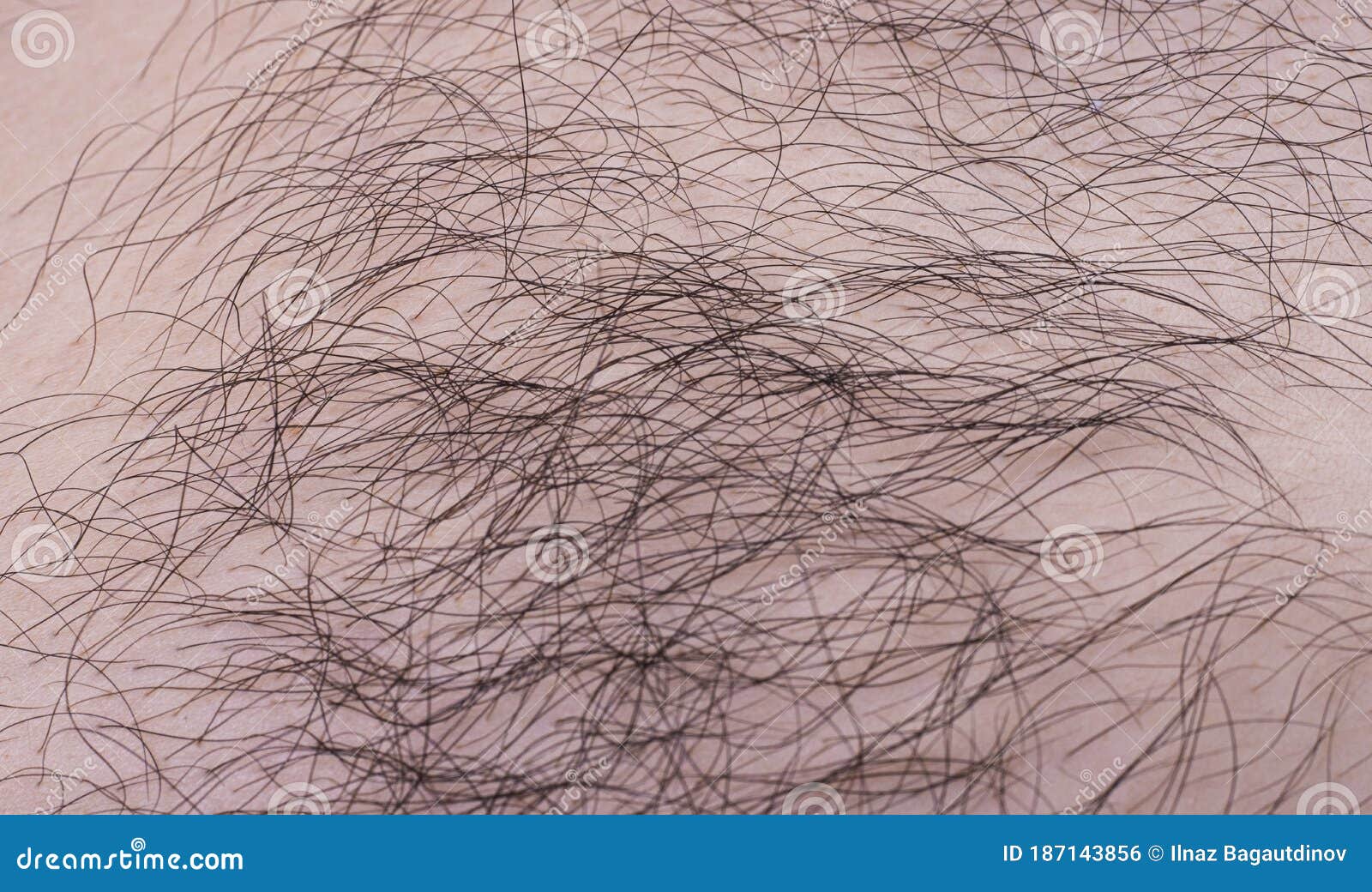Male Pubic Hair Stock Photos - Free & Royalty-Free Stock Photos from  Dreamstime