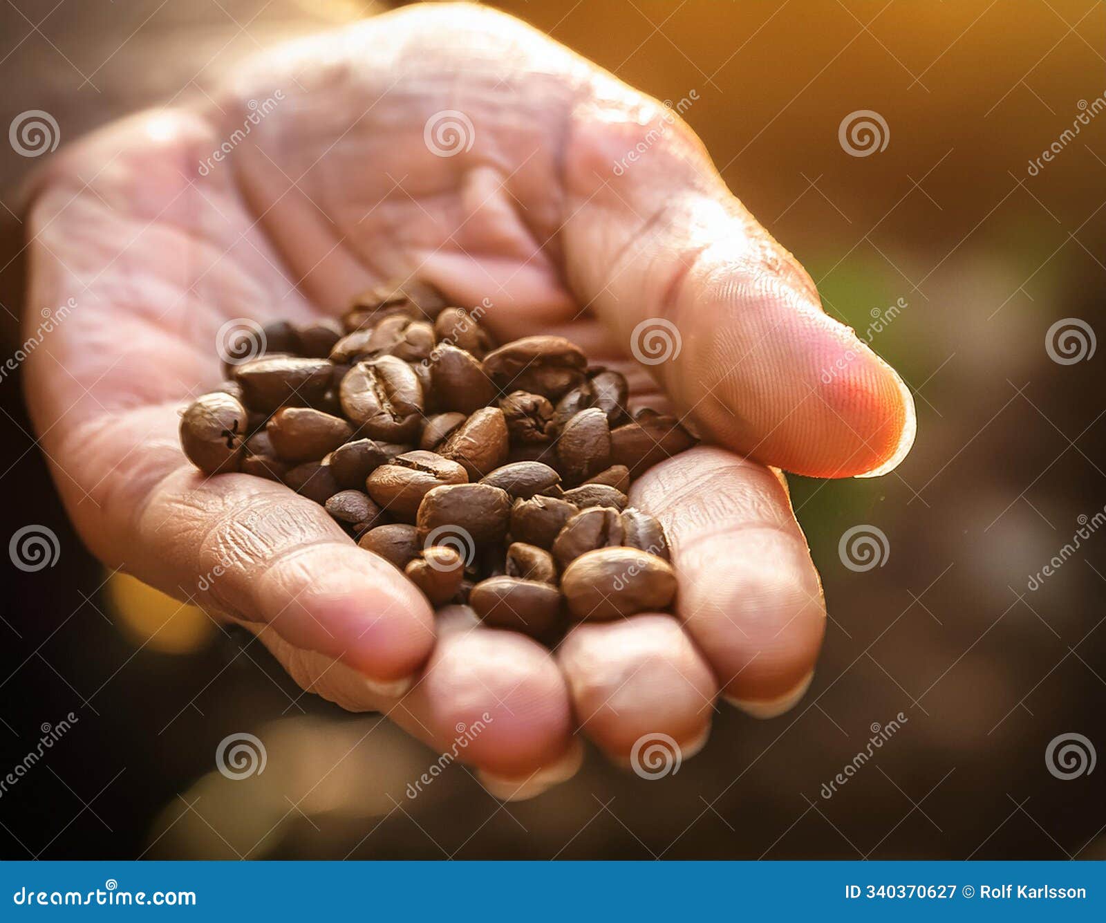 male hand holding coffee beans against blurry warm background