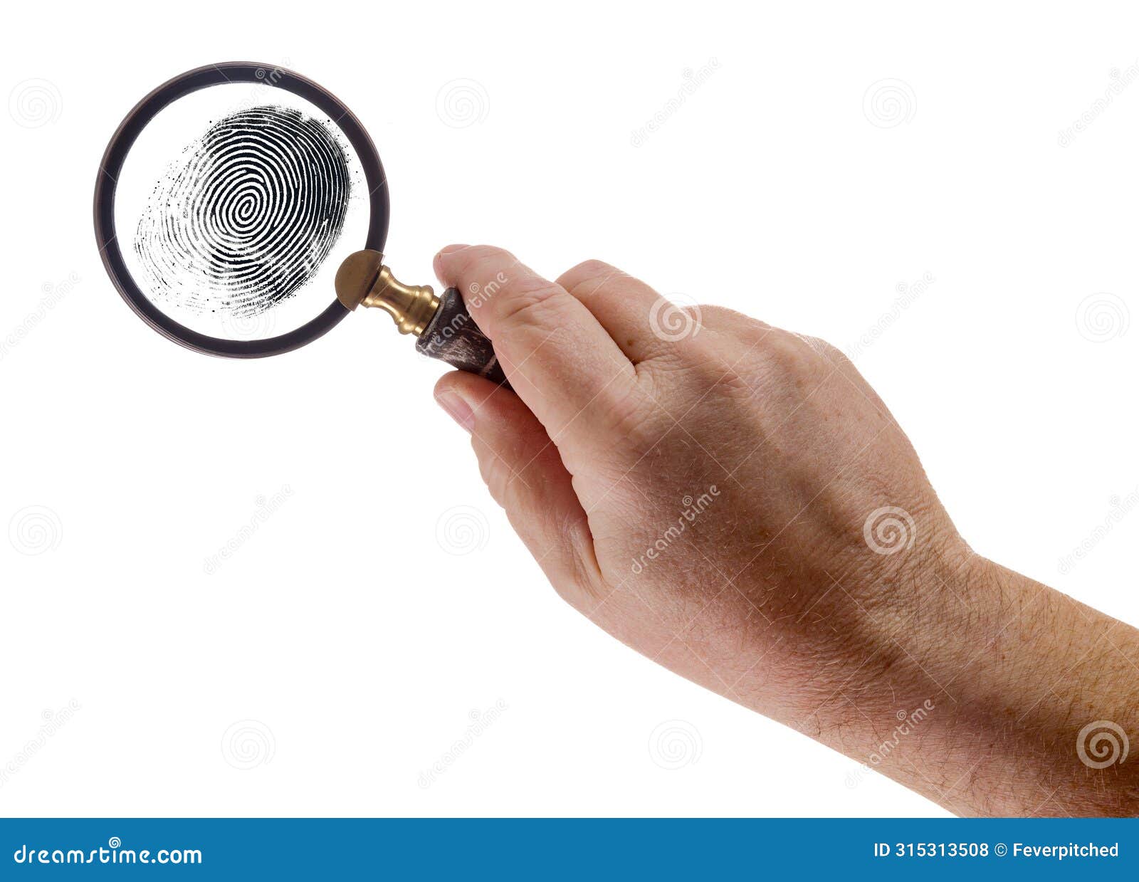 male hand holding magnifying glass viewing a fingerprint on a white background