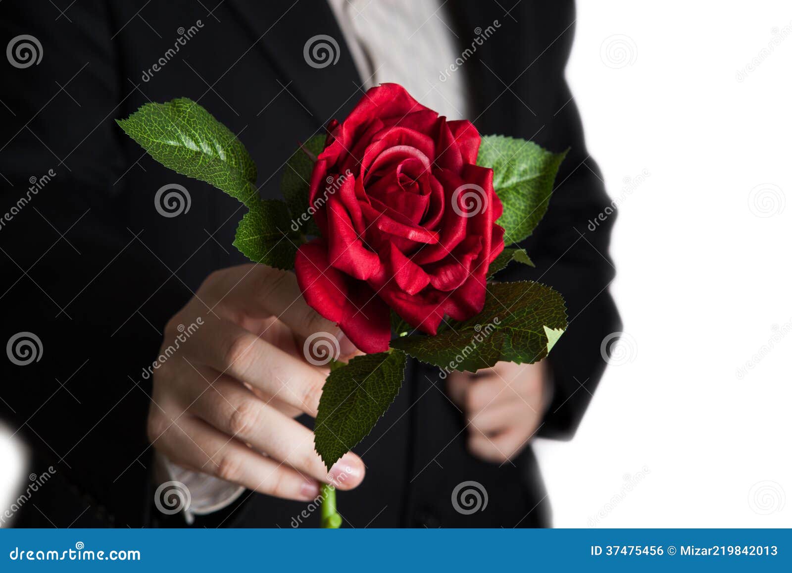 Rosethumbs