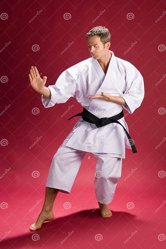 Male Karate Instructor stock photo. Image of kimono, centered 5920032