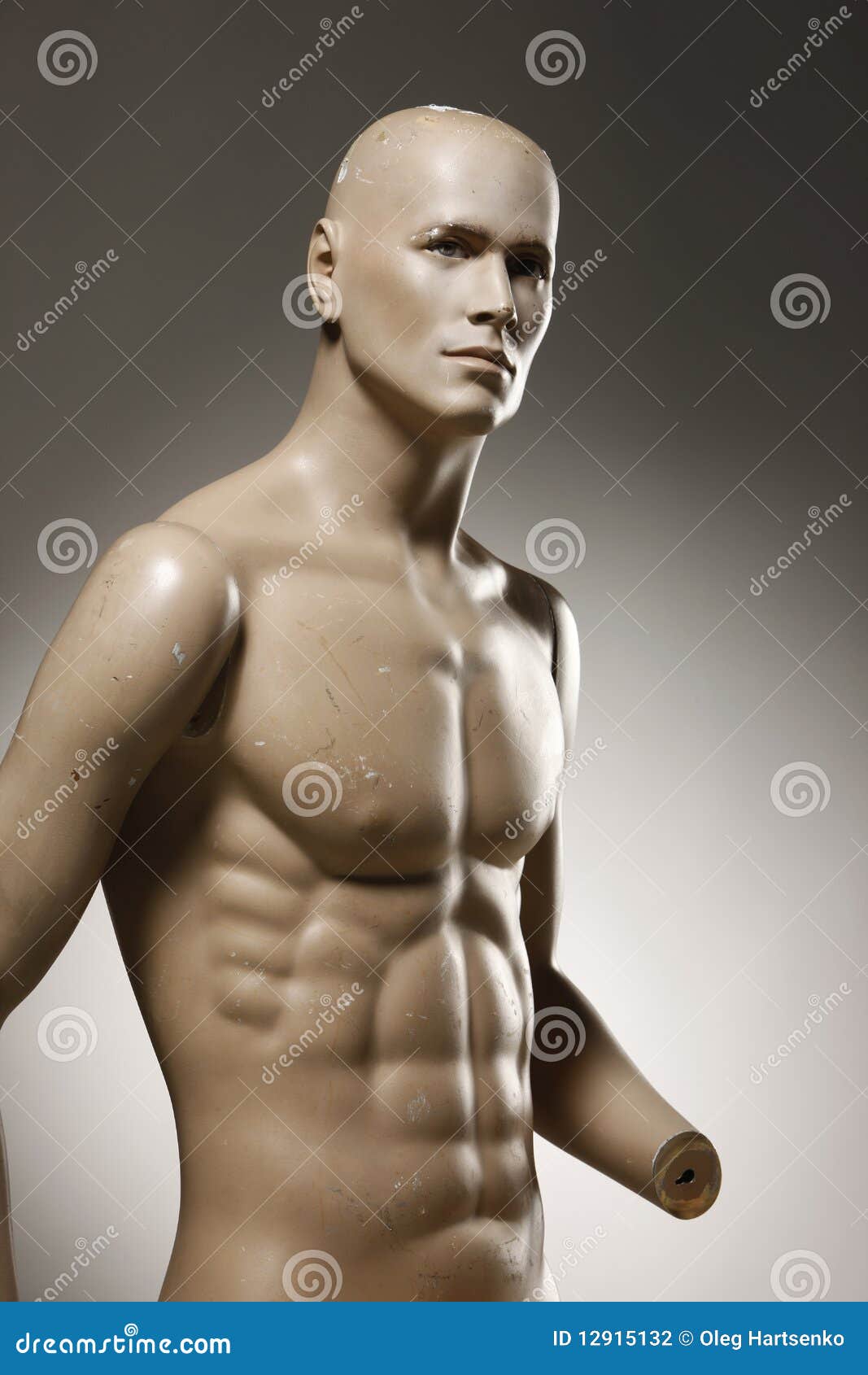 Male mannequin torso with head