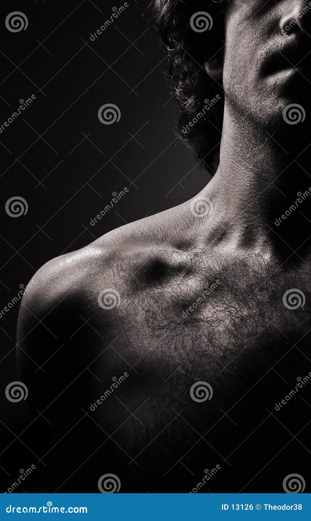Male nude-4 stock photo. Image of erotic, male, smooth, front - 13126