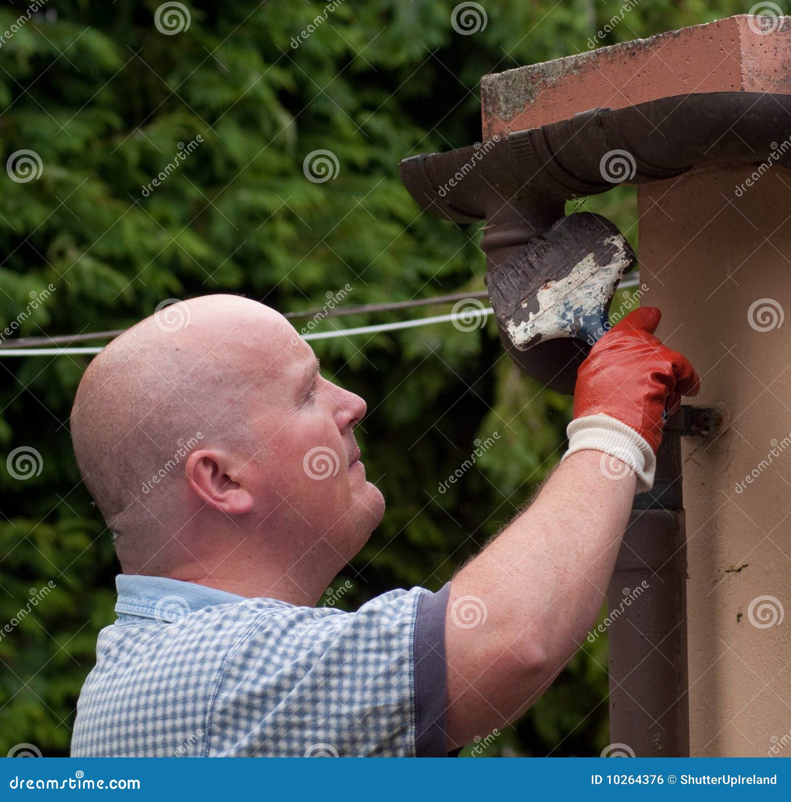 Male Painting Gutter with Brush Stock Photo Image of standing, home