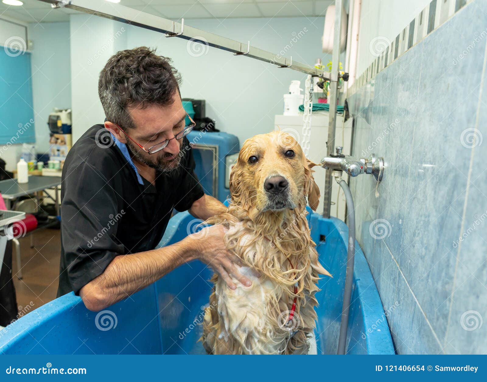 cleaning a dog grooming salon