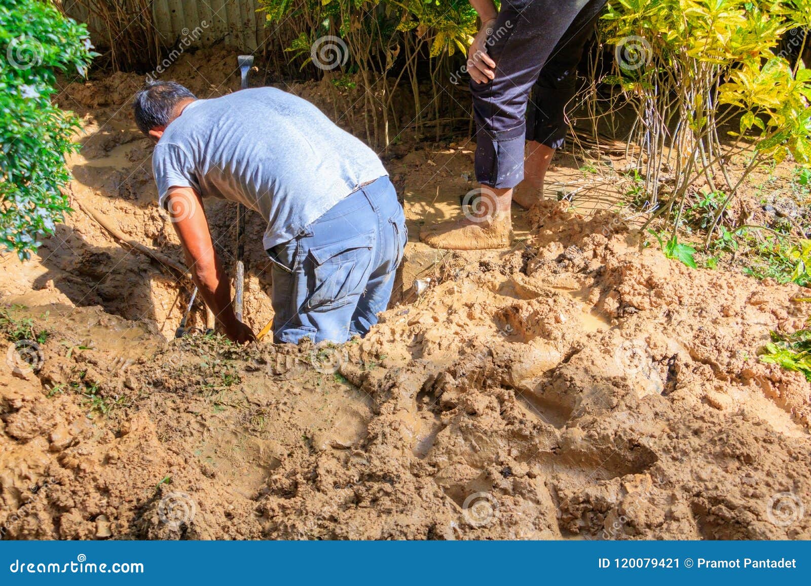 Male Plumber are Repair Broken Pipe in Hole with Plumbing Water