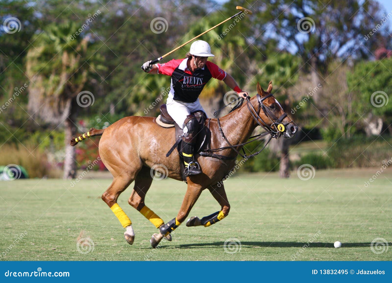 Male Polo Player editorial image. Image of hitting, animal 13832495