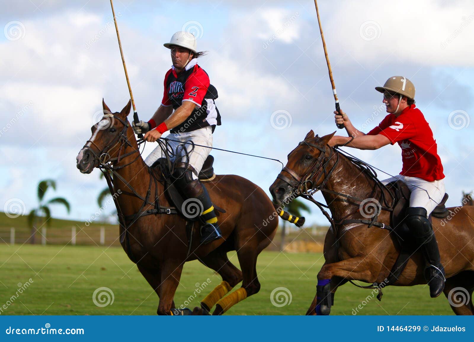 Male Polo Player editorial stock image. Image of animal 14464299