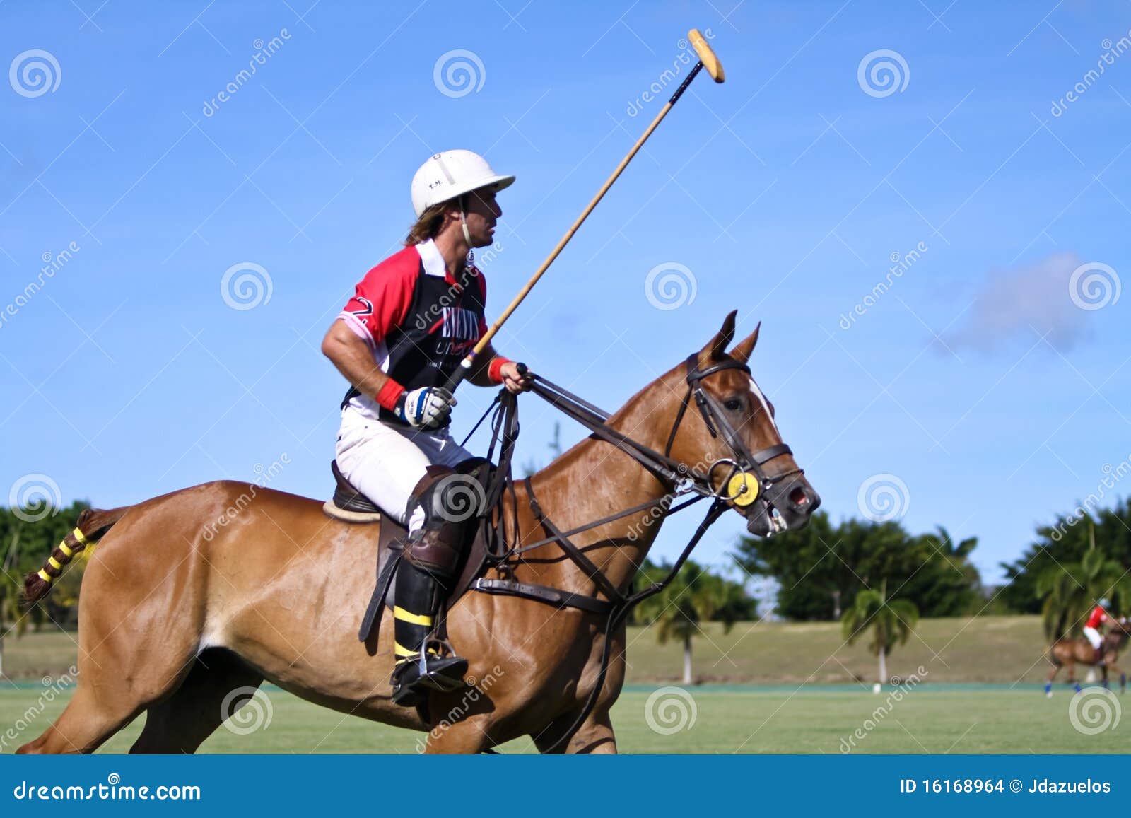 Male Polo Player editorial stock image. Image of club 16168964