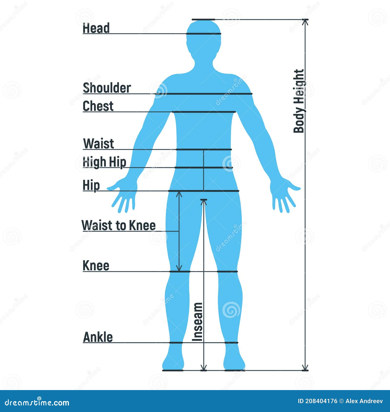 Man Body Anatomy Front Back Side Stock Illustrations 178 Man Body Anatomy Front Back Side Stock Illustrations Vectors Clipart Dreamstime