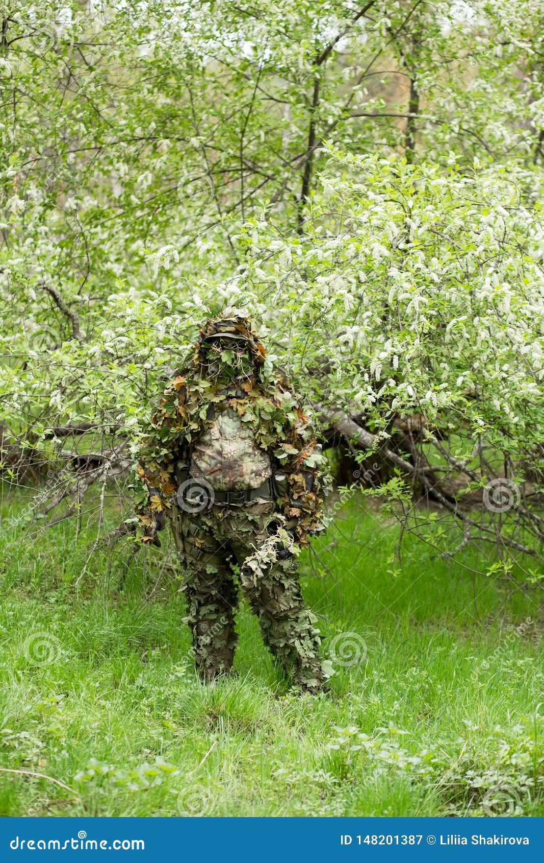 Camouflaged Sniper in the Forest Stock Image - Image of rifle, sights:  148201387