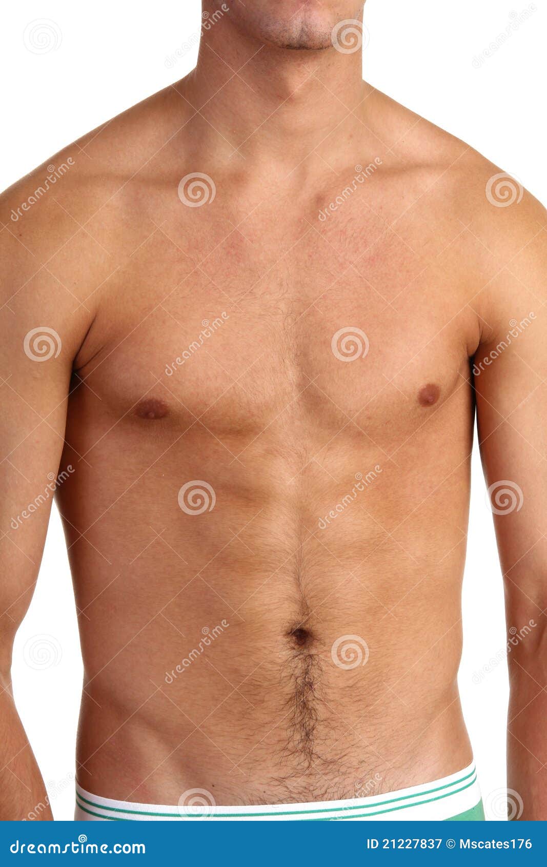 Nude Pix HQ - Gay male only holidays Adult archive Big fat hairy dick
