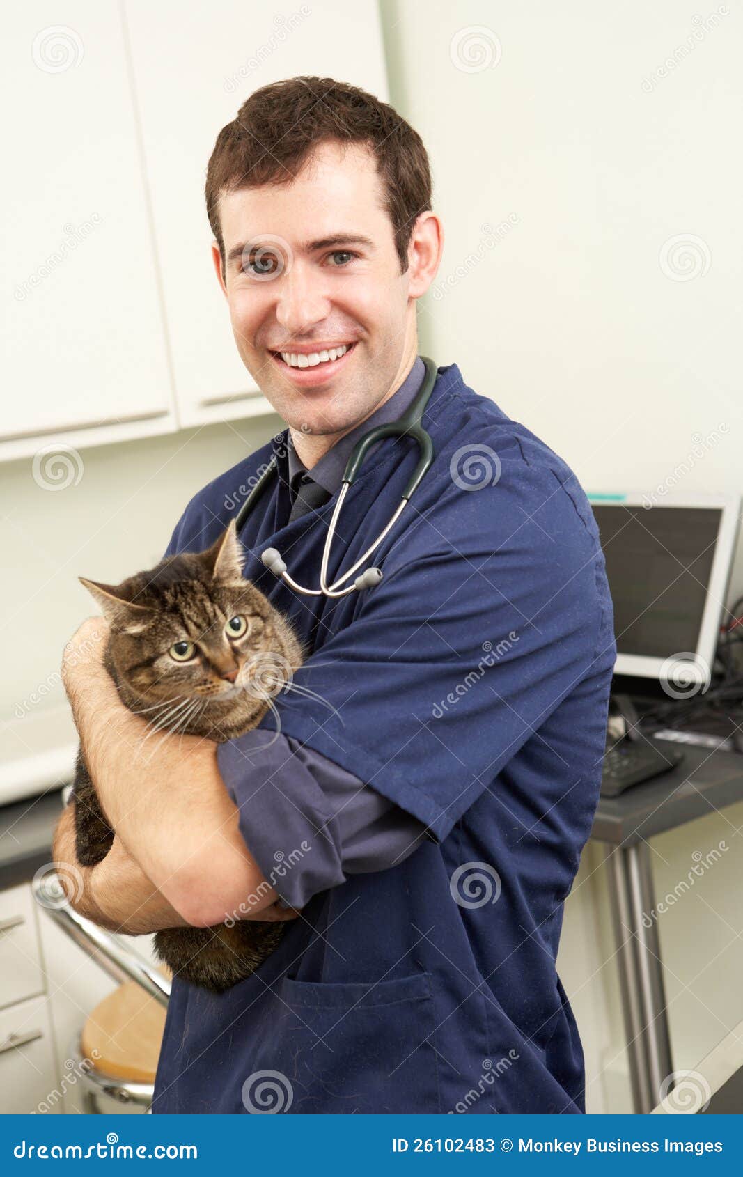 Male Veterinary Surgeon Holding Cat in Surgery Stock Image Image of