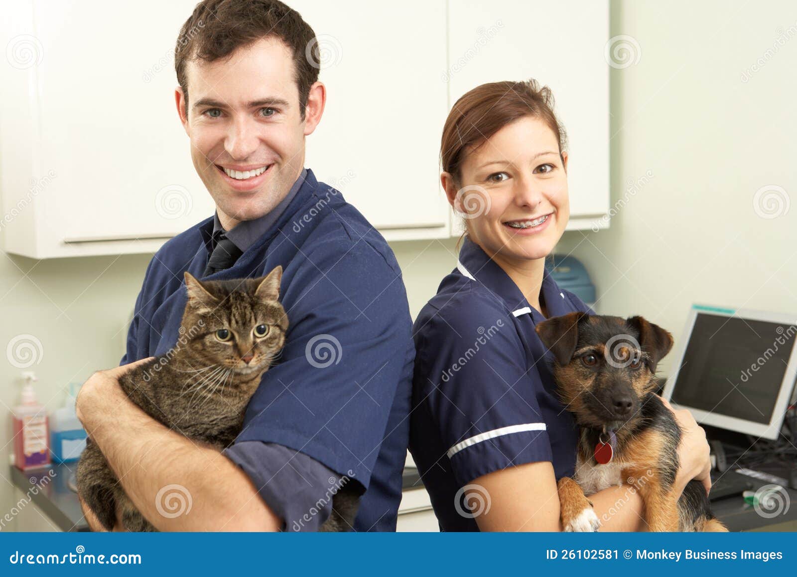 Male Veterinary Surgeon And Nurse Stock Image Image 26102581