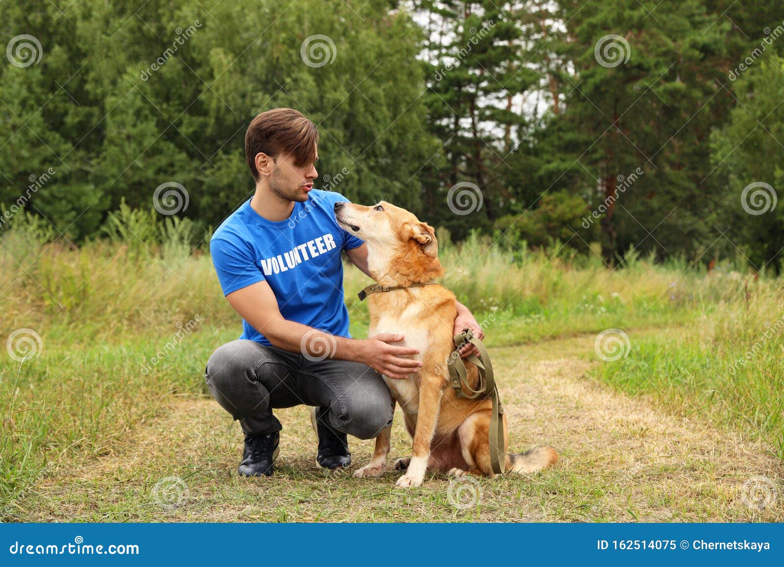 Male Volunteer with Homeless Dog at Animal Shelter Stock Image - Image of  cute, background: 162514075