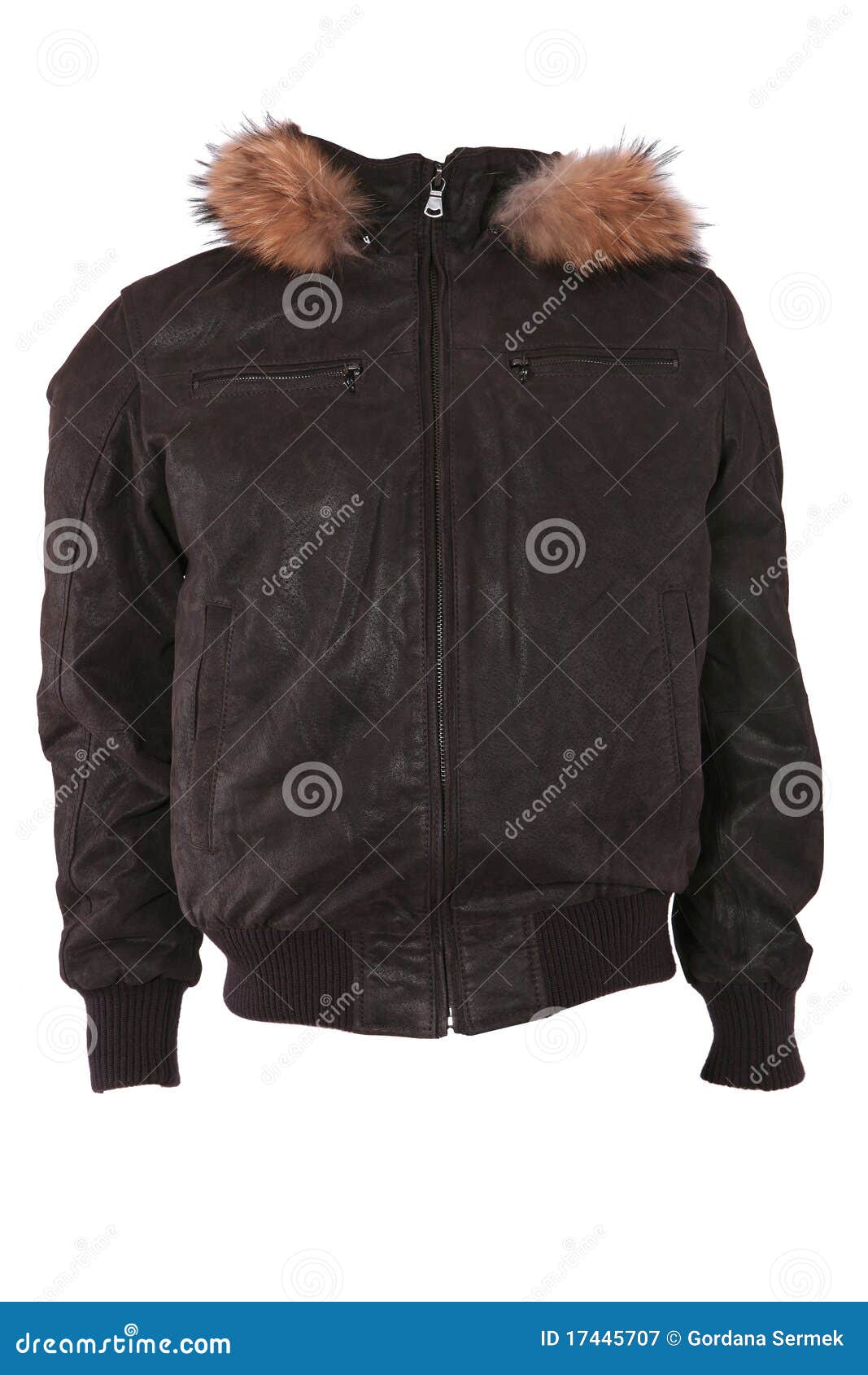 Male Winter Jacket with Fur Stock Image Image of model, male 17445707