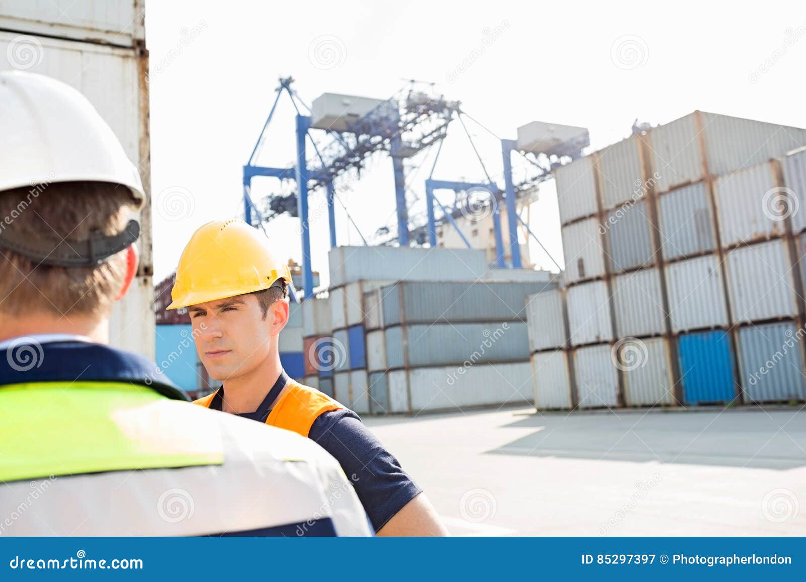 Male Workers Standing in Shipping Yard Stock Image Image of