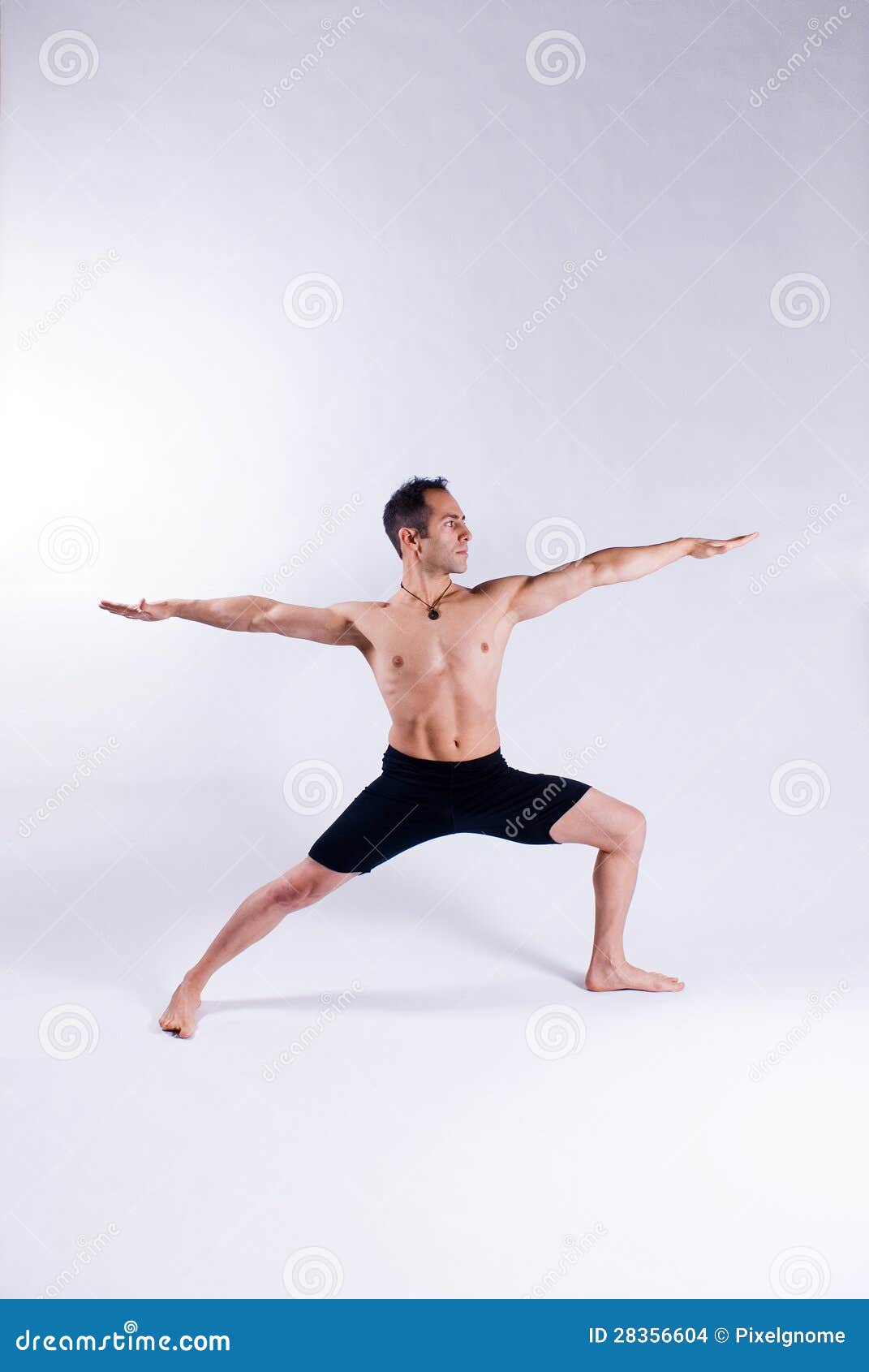 Male yoga model stock photo. Image of pose, namaste, male 28356604