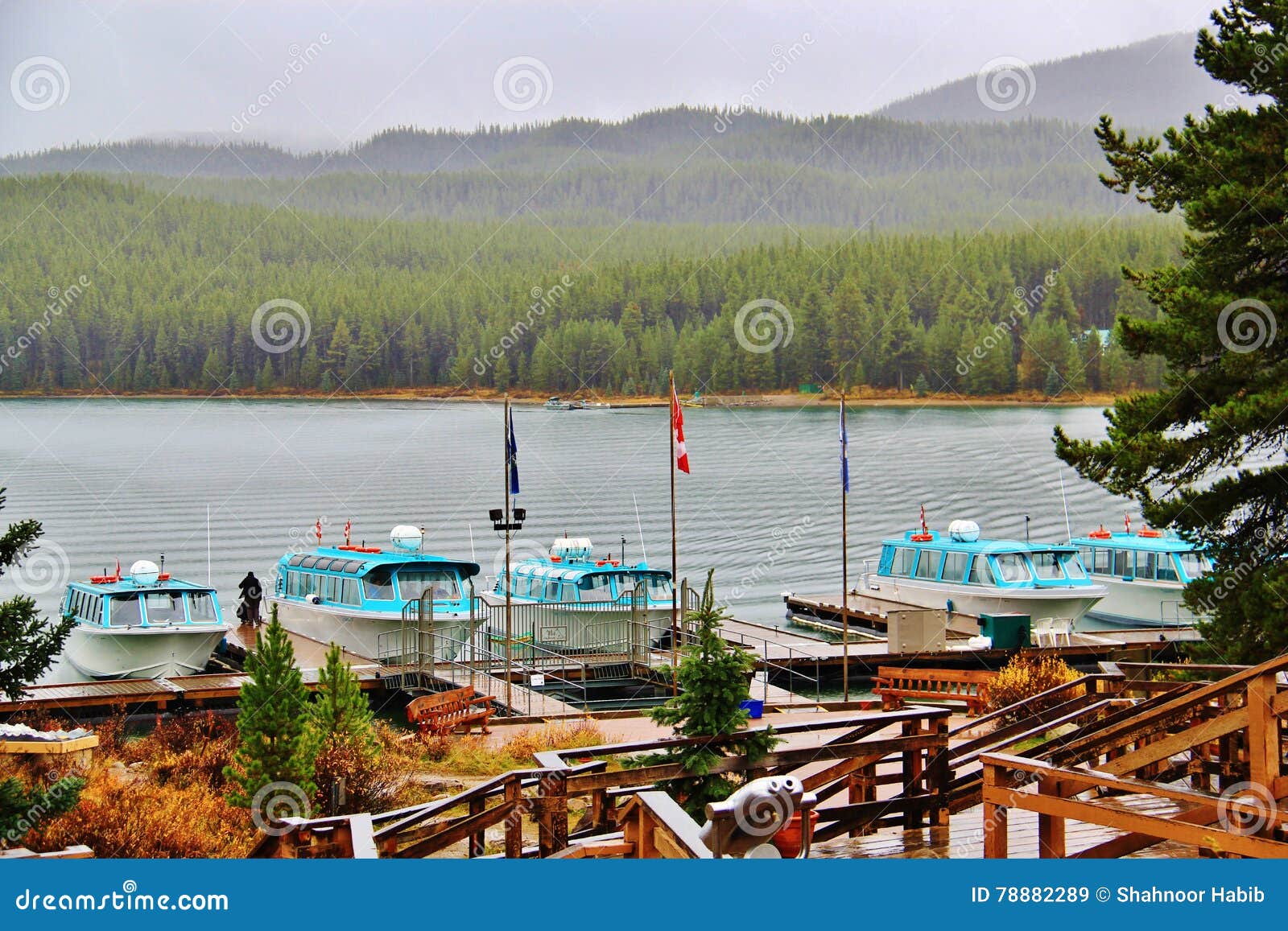 malign lake jasper , alberta