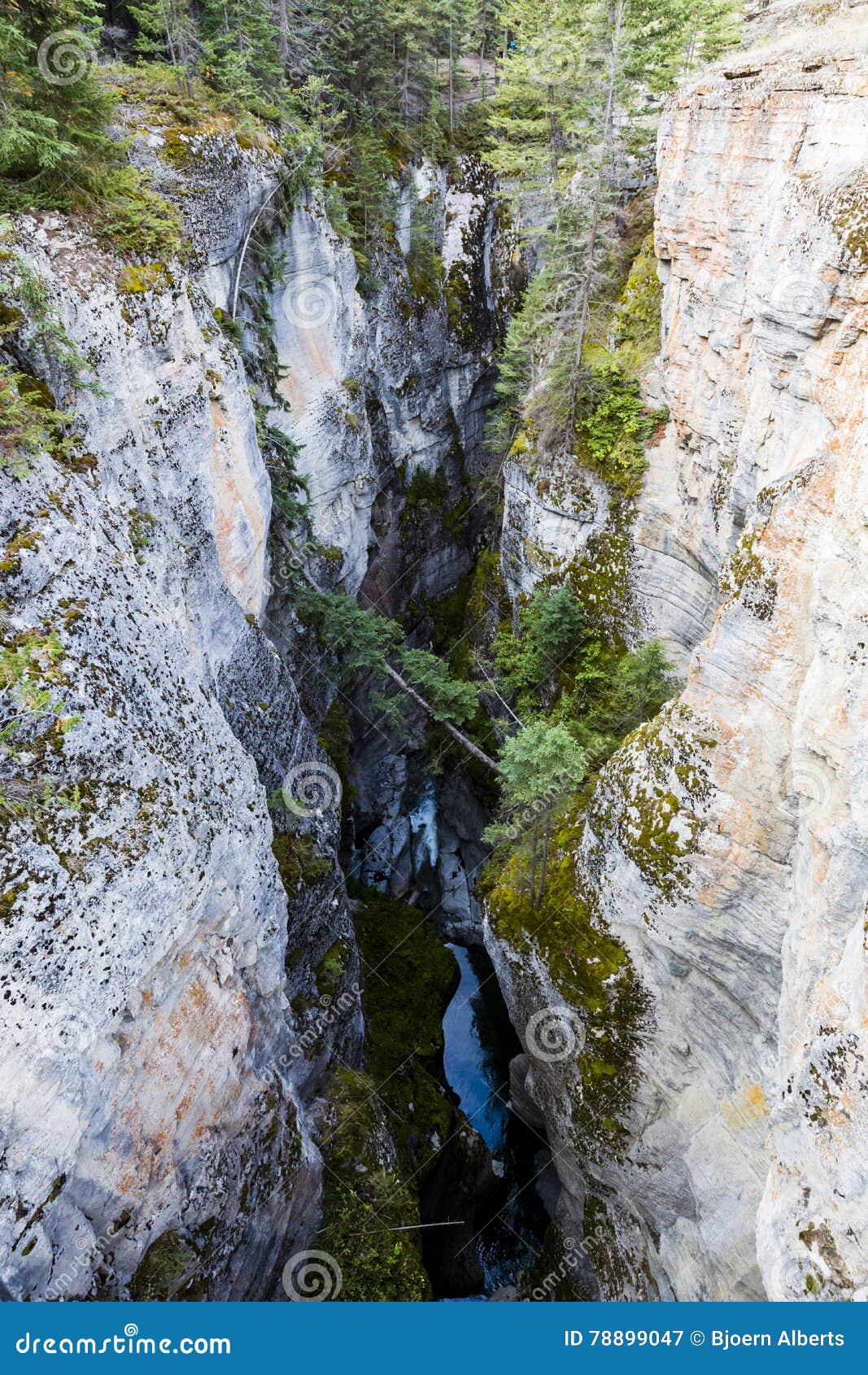 Maligne-Schlucht, Jasper National Park, Alberta, Kanada. Maligne-Schlucht ist-ein schmaler, Schlucht-MITs Wanderwegen tiefer 55 Meter BIS Maligne-Schlucht ********** ist eine natürliche Funktion, die in Jasper National Park nahe Jaspis, Alberta, Kanada gelegen ist Abgefressen aus der Palliser-Bildung heraus, misst die Schlucht über 50 Metern tief