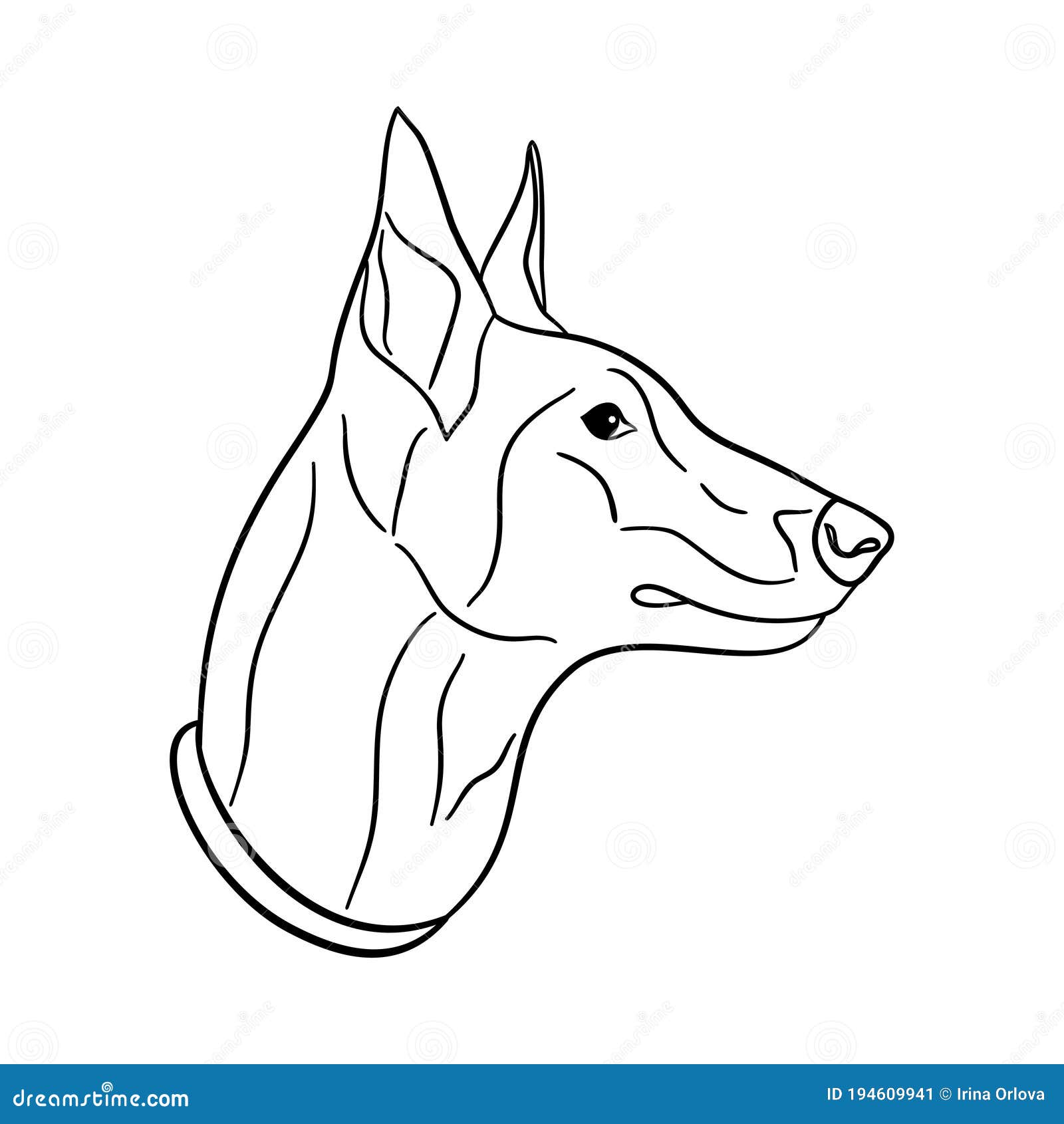 Dog Face Profile Drawing