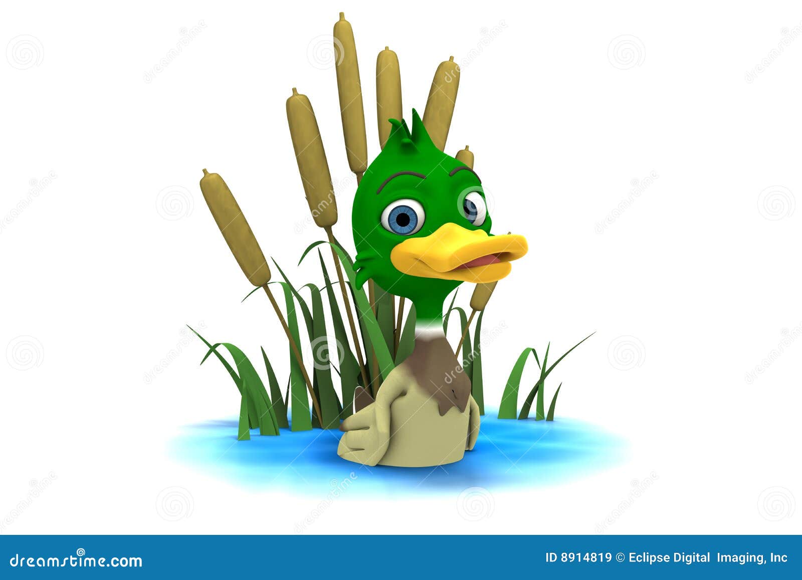 3D cartoon mallard duck sitting in pond on white background