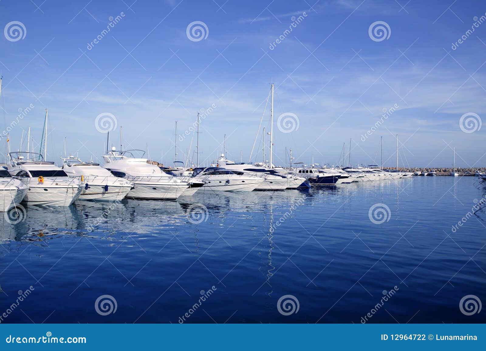 mallorca puerto portals port harbor marina spain