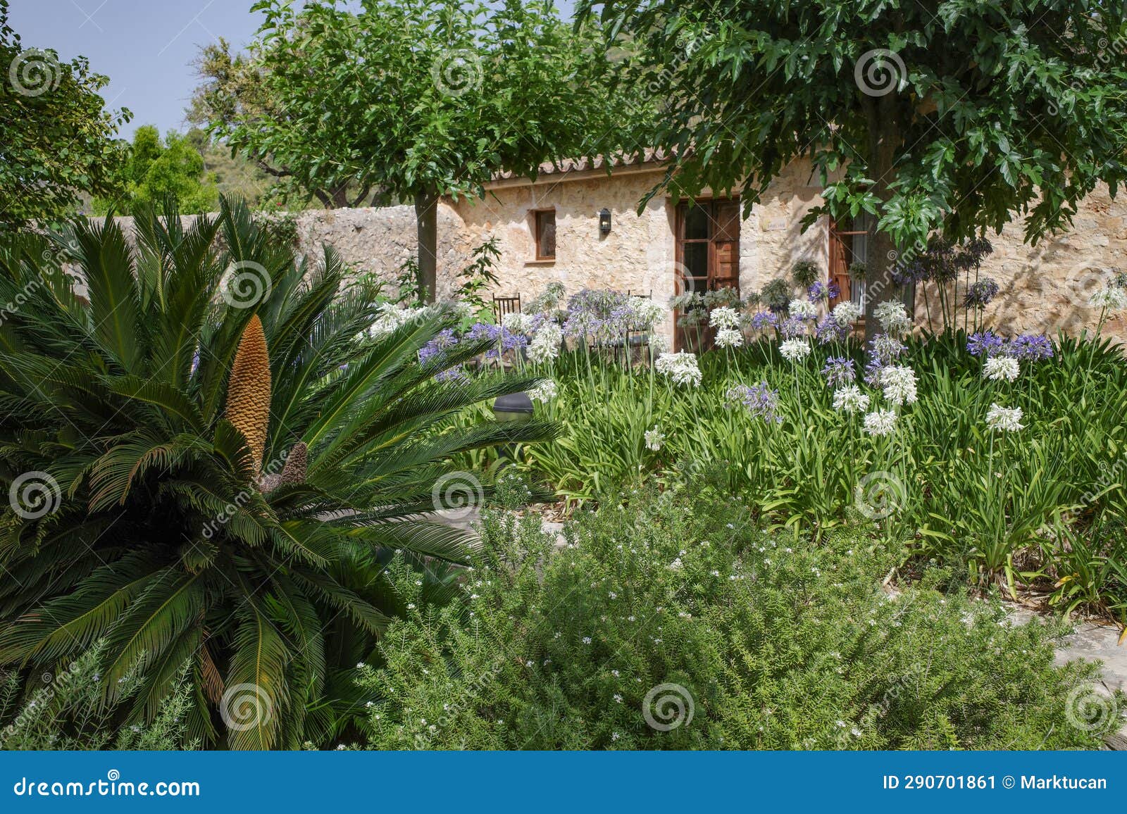mallorca, spain - 10 july, 2023: lush tropical gardens at an agroturismo hotel in mallorca, spain