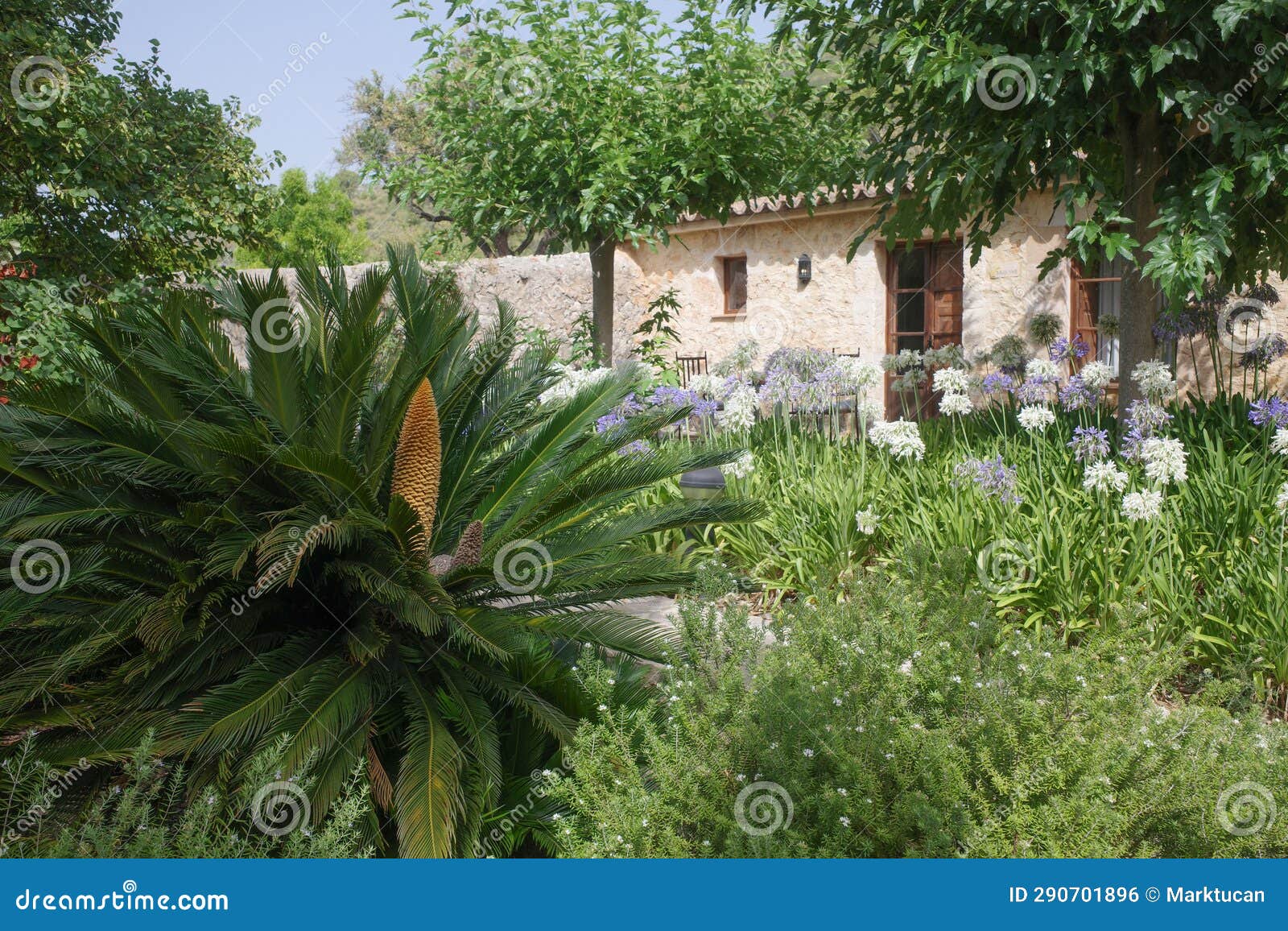 mallorca, spain - 10 july, 2023: lush tropical gardens at an agroturismo hotel in mallorca, spain