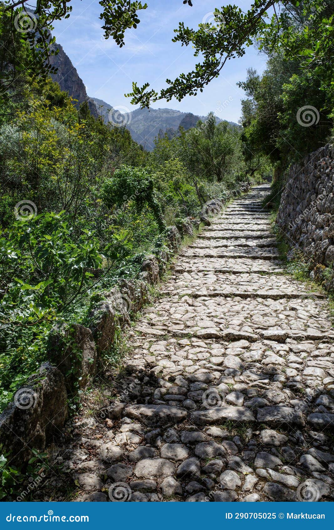 mallorca, spain - 12 june, 2023: the barranc de biniaraix and gr221 hiking trails in the tramuntana mountains, mallorca