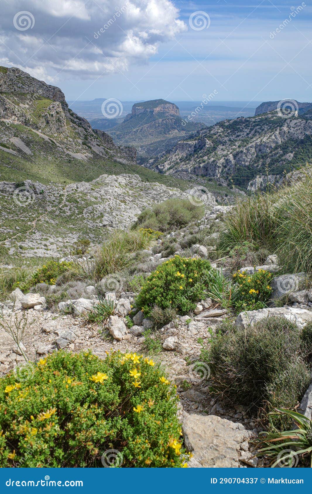 mallorca, spain - 12 june, 2023: views along the gr221 trail through the tramuntana mountains, mallorca