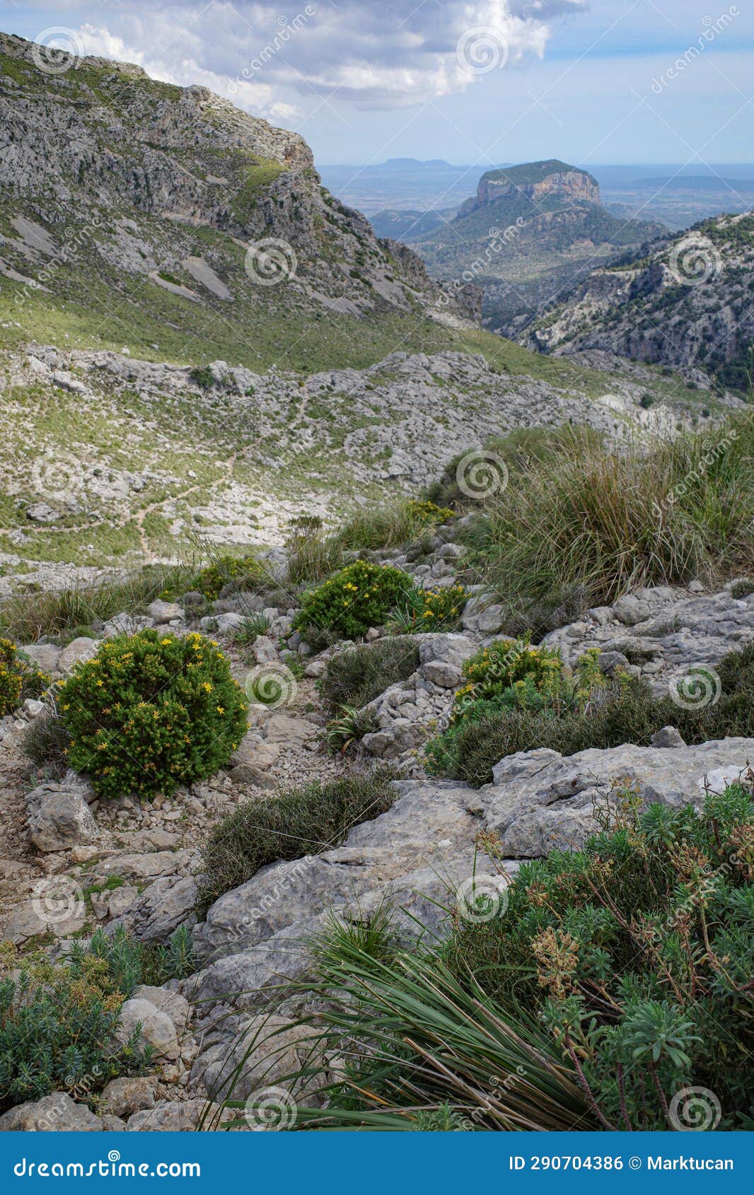 mallorca, spain - 12 june, 2023: views along the gr221 trail through the tramuntana mountains, mallorca