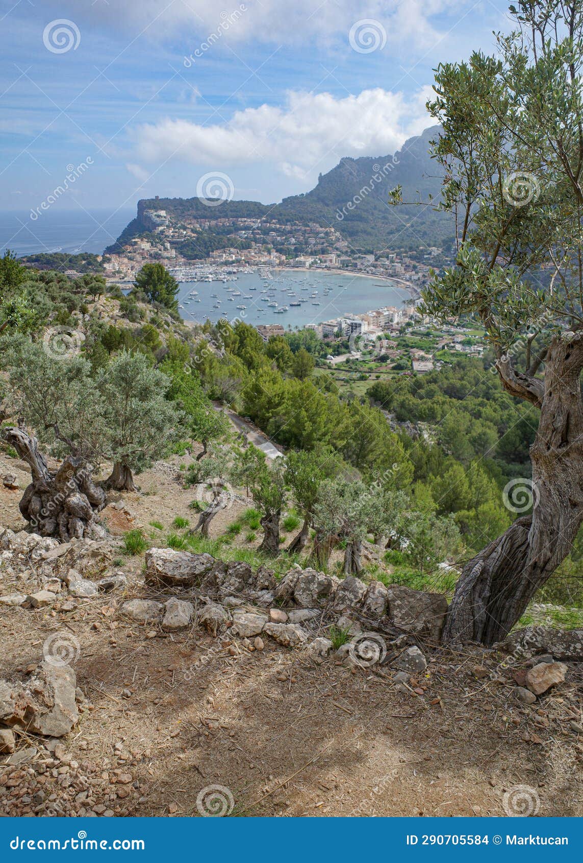 mallorca, spain - 12 june, 2023: views of port de soller from the gr221 hiking trail and the tramuntana mountains, mallorca