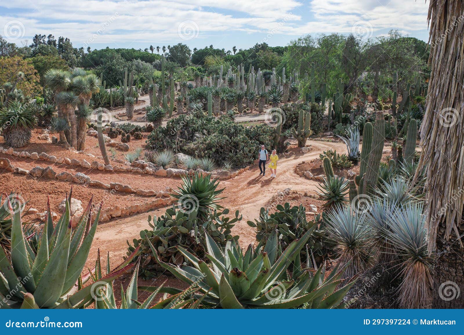 mallorca, spain - nov 1, 2023: cacti and exotic plant species at the botanicactus botanical gardens