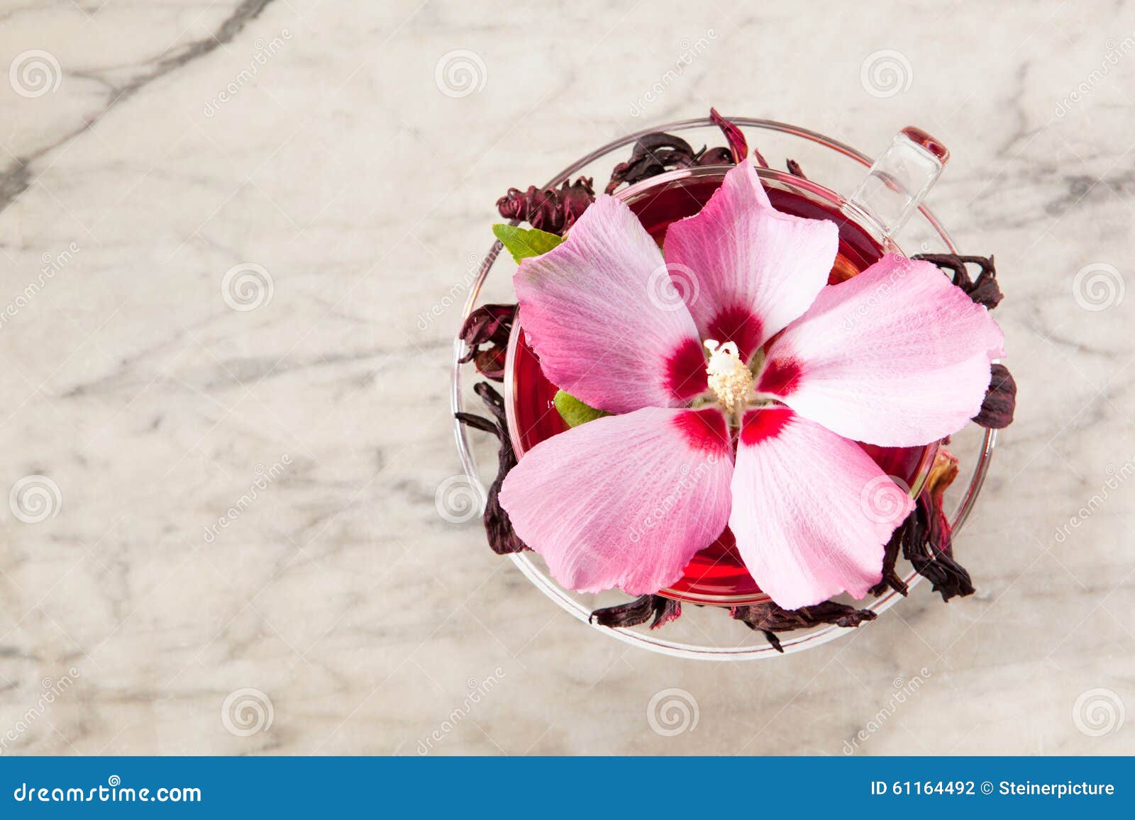 Mallow tea stock photo. Image of dried, glass, vitamin 61164492