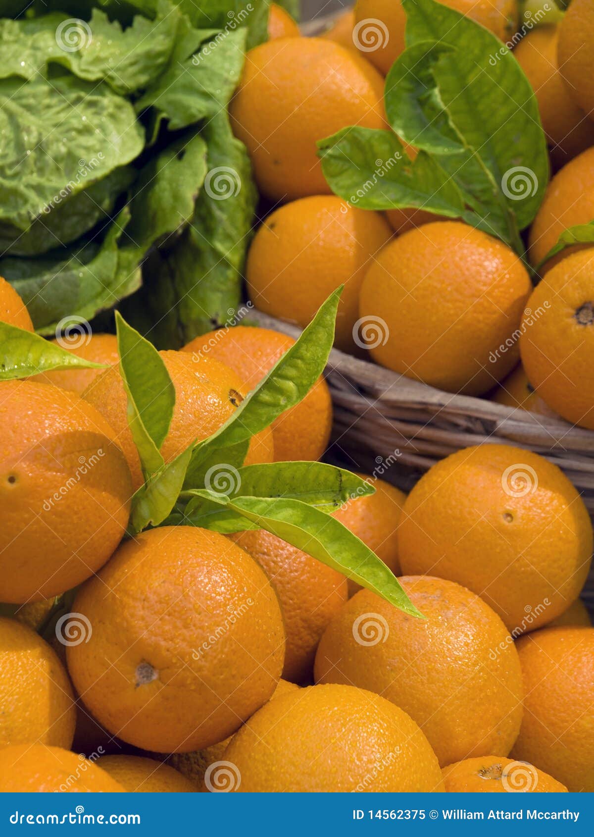 Malta Oranges stock image. Image of traditional, orange 14562375
