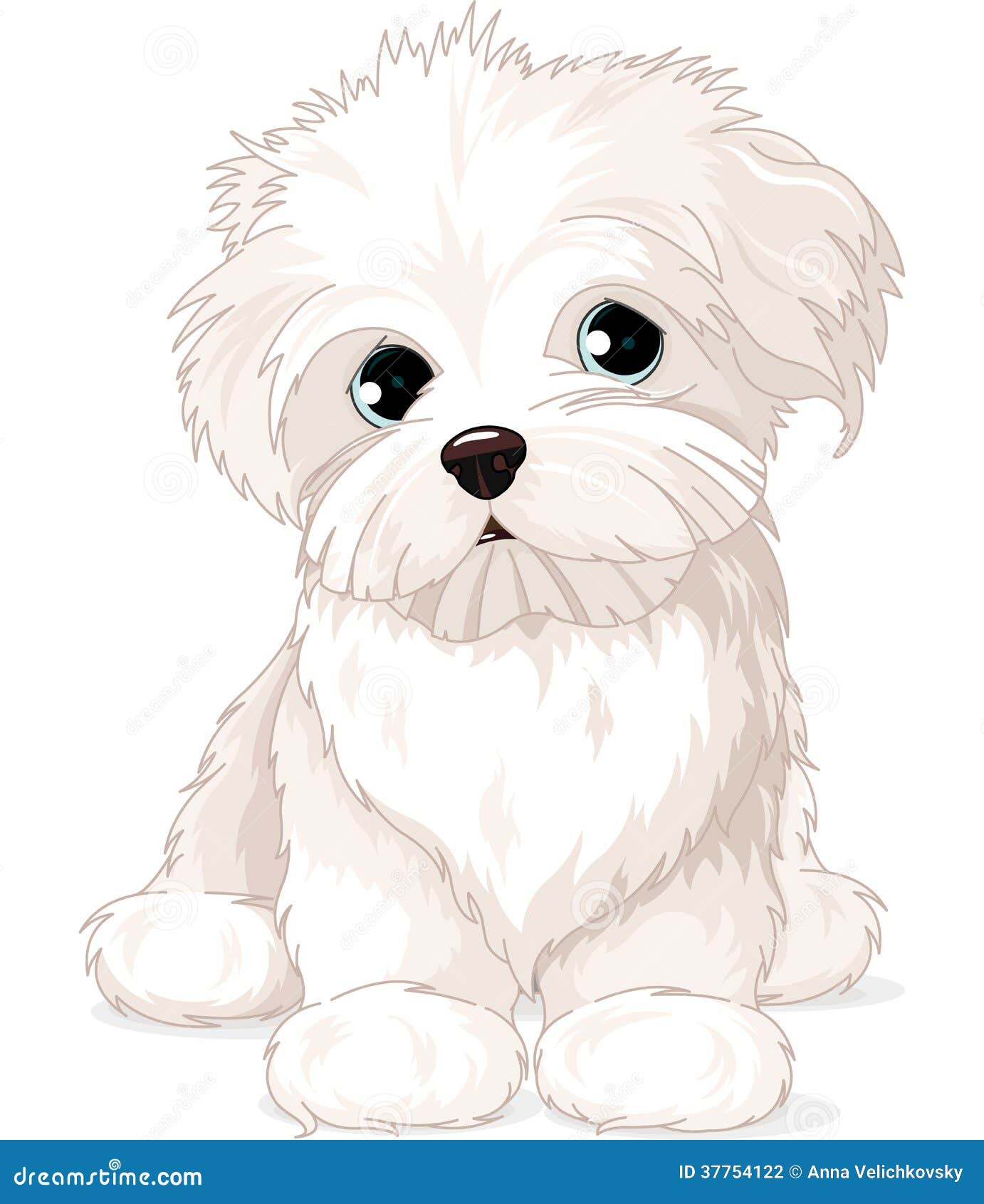 free clip art maltese dog - photo #7