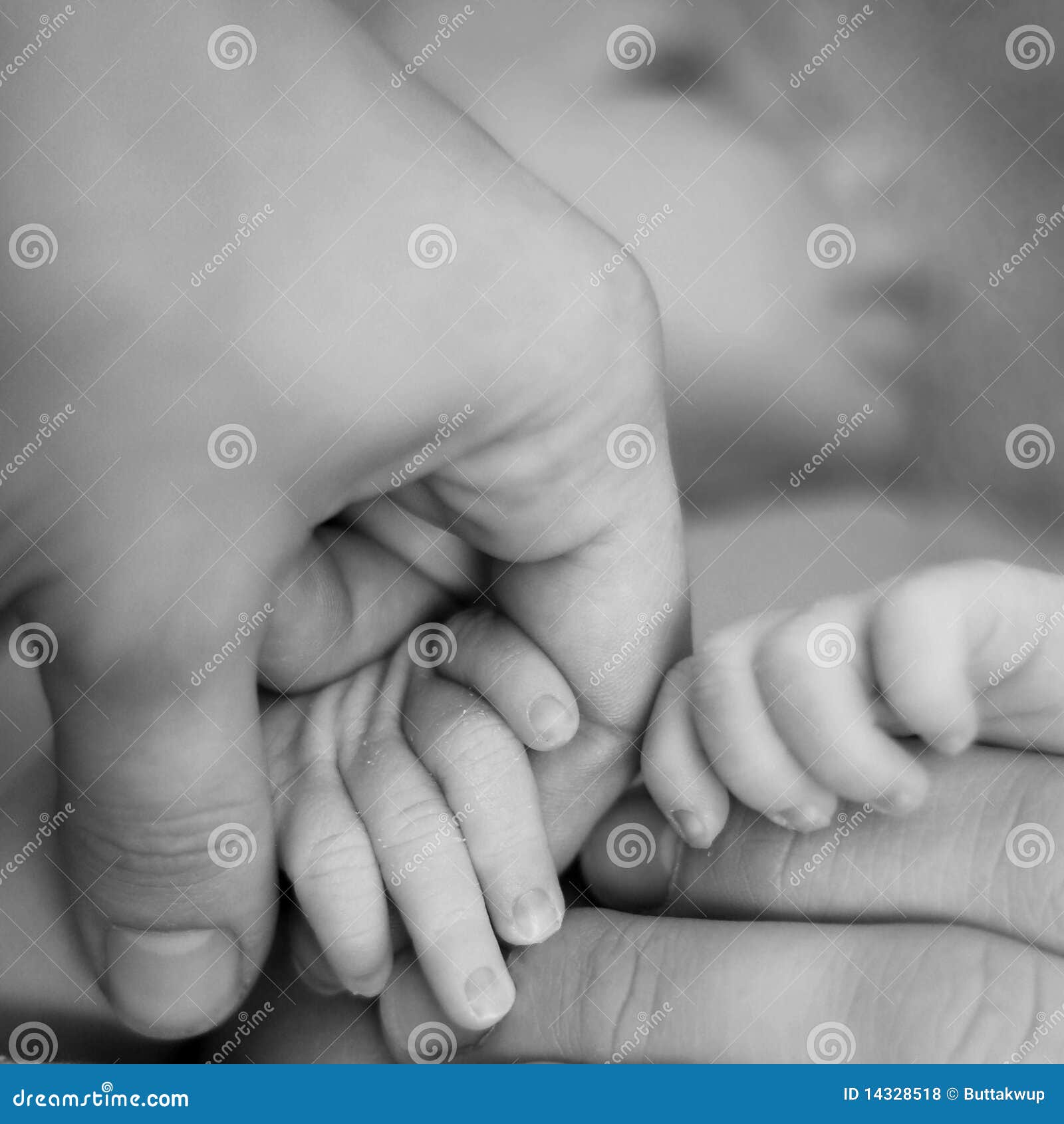 Mama Y Papa Que Llevan A Cabo Las Manos Recien Nacidas Foto De Archivo Imagen De Primero Perfil Mama Y Papa Que Llevan A Cabo Las Manos Recien Nacidas Foto De Archivo Imagen De Primero Perfil