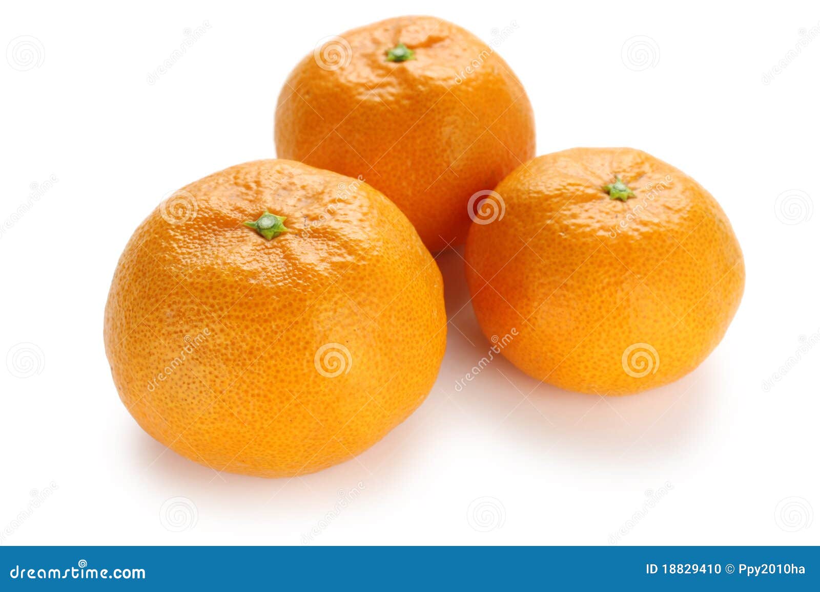 Mamami Orange , Japanese High Quality Citrus Fruit Stock Photo Image