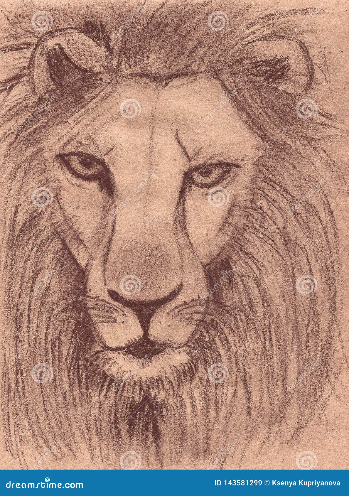 Animal Lion Drawing Graphic Pencil Sketch Illustraton Stock Illustration - Illustration of animal, drawing: 143581299 Animal Lion Drawing Graphic Pencil Sketch Illustraton Stock Illustration - Illustration of animal, drawing: 143581299