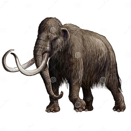 Mammoth stock illustration. Illustration of mammoth, nature - 48493782