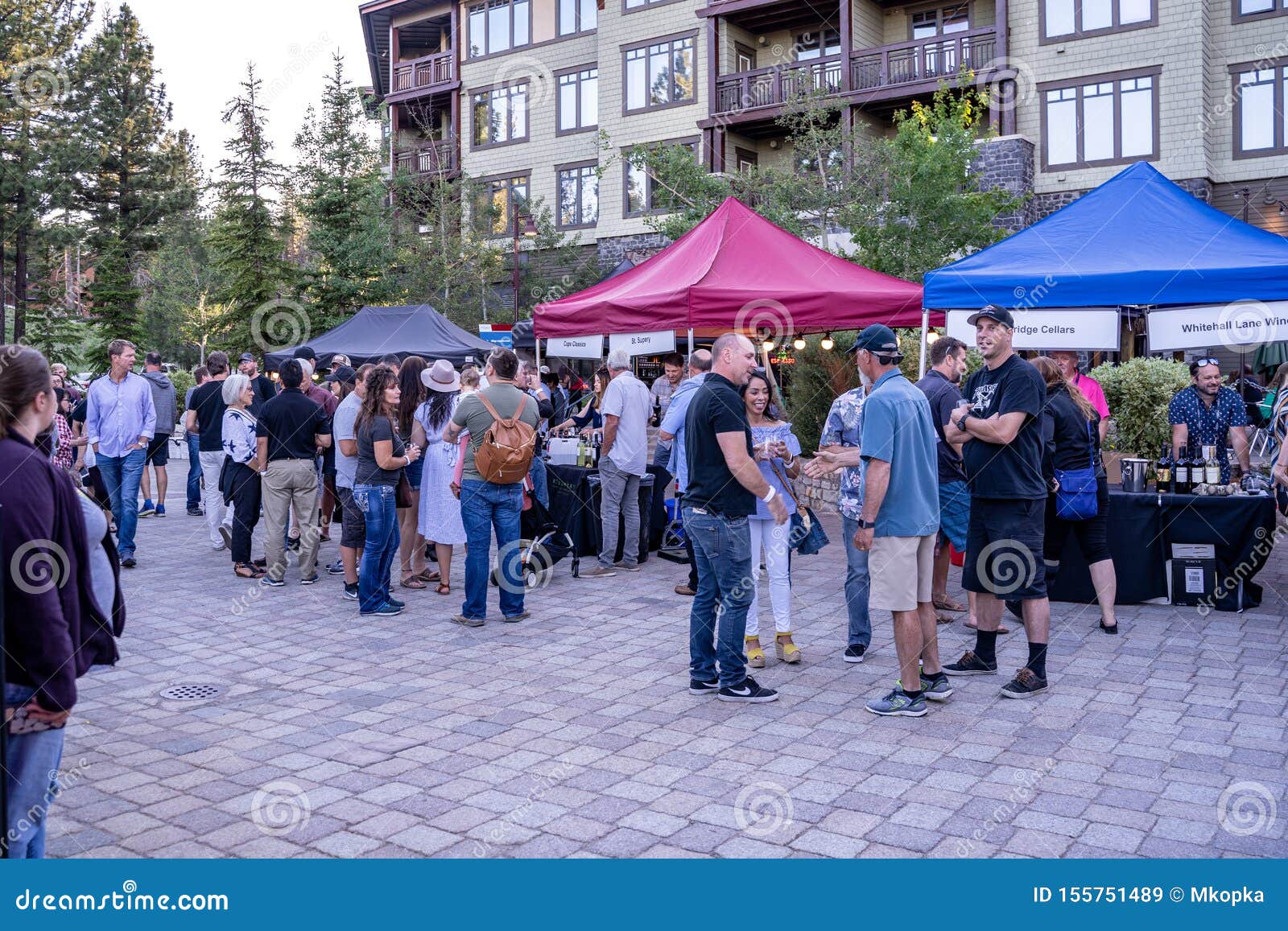 People Gather Around Booths at the Mammoth Food & Wine Experience