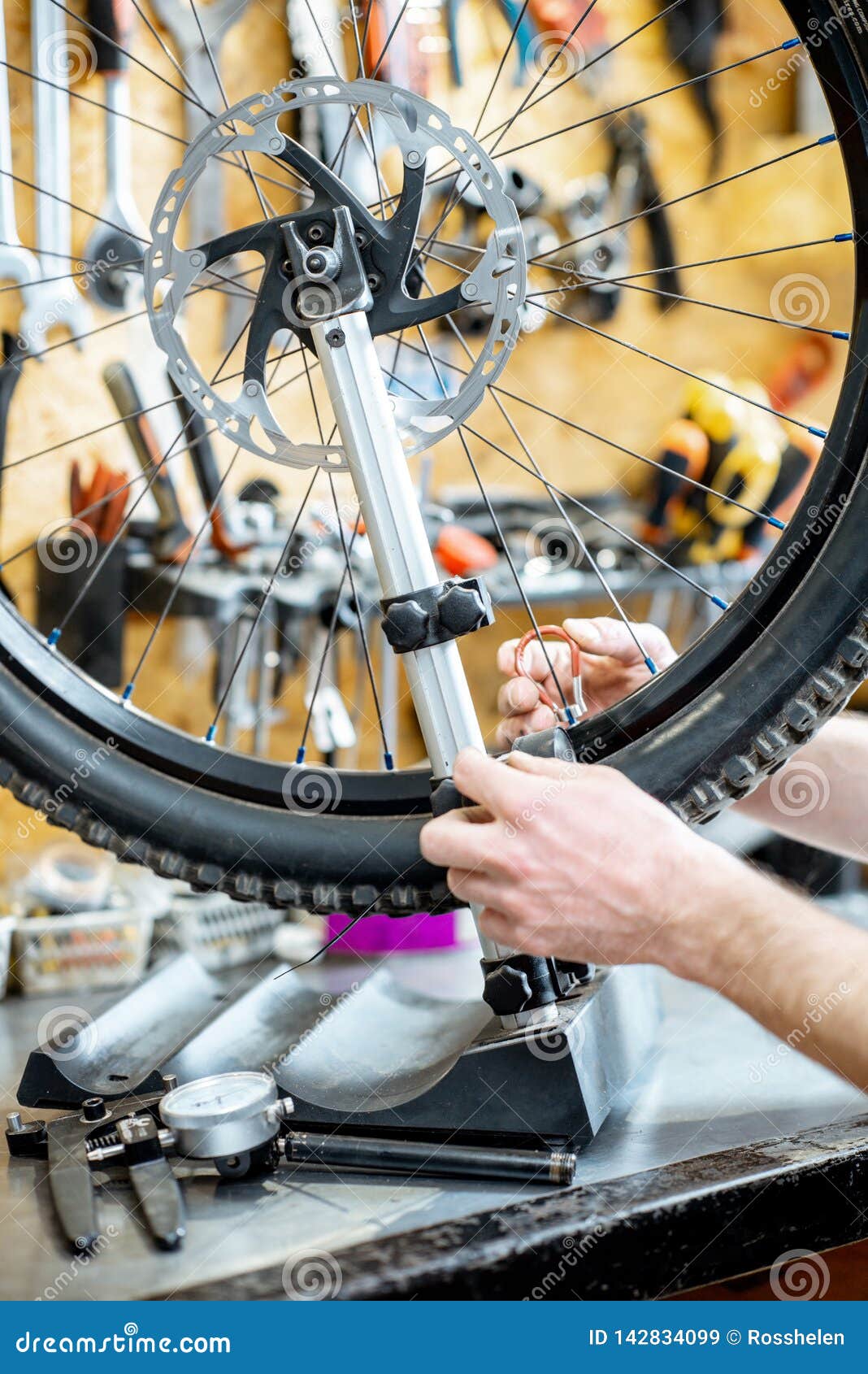 Man aligning bicycle wheel stock image. Image of person 142834099